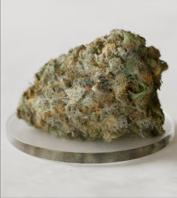 IC Exotic Series 3.5G THCa Flower - Gary Payton (Sleeve of 10) - SERVD ...