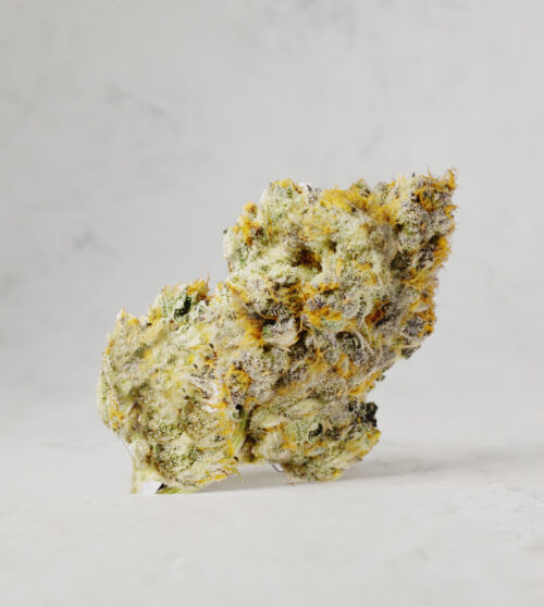 lemon cherry gelato